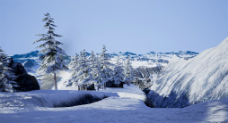 ꡼ No.061Υͥ / ХʥॳСƥ˻ųݤVR󥿡ƥȸߡɡVR ZONE Project i Canפ򤸤äθƤߤ