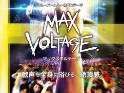 ꡼ No.004Υͥ / VR ZONEοƥӥƥõʼܥȥॺ ХȥϺס֥ޥåܥơפθݡȡȯԥ󥿥ӥ塼Ǻ