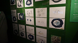 画像ギャラリー No.008のサムネイル画像 / 企画展「あそぶ!ゲーム展 ステージ2:ゲームセンターVSファミコン」が開催。アーケードとコンシューマが競いながら進歩を重ねた1980年代の雰囲気を味わえる