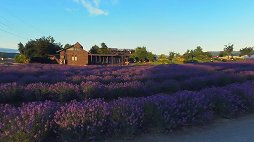 ���������꡼ No.008�Υ���ͥ������ / ���դ������ʤɤ��������֤ǥ��ޥۤ����Ǥ���PlayStation VR�б�����ƥ�ġ�anywhere VR�פ�12��8�����ۿ���2��Υ�����������̵��