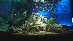 ���������꡼ No.015�Υ���ͥ������ / ���դ������ʤɤ��������֤ǥ��ޥۤ����Ǥ���PlayStation VR�б�����ƥ�ġ�anywhere VR�פ�12��8�����ۿ���2��Υ�����������̵��