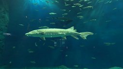 ���������꡼ No.023�Υ���ͥ������ / ���դ������ʤɤ��������֤ǥ��ޥۤ����Ǥ���PlayStation VR�б�����ƥ�ġ�anywhere VR�פ�12��8�����ۿ���2��Υ�����������̵��