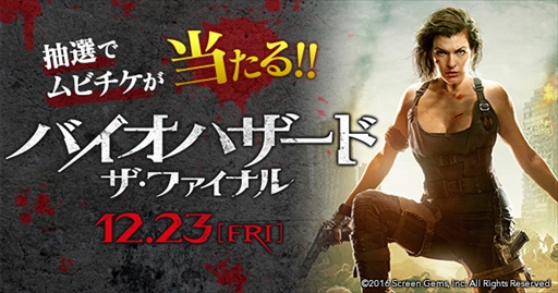 ���������꡼ No.001�Υ���ͥ������ / �ǲ�֥Х����ϥ����ɡ������ե����ʥ�ס���������ǰ�����ץ쥼��ȥ����ڡ����»�