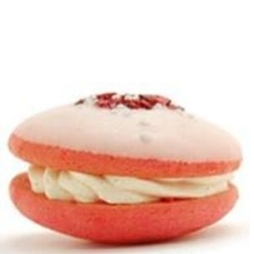 ���������꡼ No.006�Υ���ͥ������ / �����ȡ����ơ�����󡤿��ɤ�2Ź�ޤ�Ciappuccino�Υ����ԡ��ѥ�����ָ�������