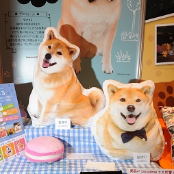 ꡼ No.214 | ѥɥɥ饯FF⥷ʥ⡣оͽοƥब뤷47ץ饤եץݡ