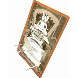 ꡼ No.009 | ܰ쥽եȥޥ vol.18˽Ÿʪξ