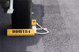 ꡼ No.030 | 弫ΥإꥳץܸҴϡ֤׾ϥݡ