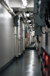 ꡼ No.043 | 弫ΥإꥳץܸҴϡ֤׾ϥݡ