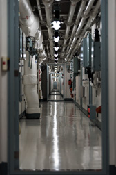 ꡼ No.044 | 弫ΥإꥳץܸҴϡ֤׾ϥݡ