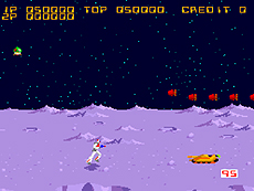 ꡼ No.005Υͥ / ǦԤ㤸ݤסΥѥפʤɥ쥳8ȥ뤬ХʥΡ֥IPץ󲽥ץȡפɲ