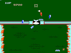 ꡼ No.007Υͥ / ǦԤ㤸ݤסΥѥפʤɥ쥳8ȥ뤬ХʥΡ֥IPץ󲽥ץȡפɲ