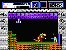 ꡼ No.010Υͥ / ǦԤ㤸ݤסΥѥפʤɥ쥳8ȥ뤬ХʥΡ֥IPץ󲽥ץȡפɲ