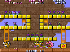 ꡼ No.011Υͥ / ǦԤ㤸ݤסΥѥפʤɥ쥳8ȥ뤬ХʥΡ֥IPץ󲽥ץȡפɲ