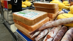 ꡼ No.022 | ܤΥޥۥϱĤ˿ͤȤäȸΨ뤿ˡΡȥ२󥸥ɤȤ٤ǤϤʤΤ˰¾֤ܤΥޥۥޡåȤˡΥǥ٥åѤ󾧡