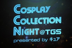 ꡼ No.001Υͥ / TGS 2017200ĶΥץ쥤䡼ơǶ顣Cosplay Collection Night @TGSפ̿ǥݡ