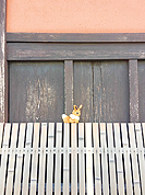 ꡼ No.011 | ֥ץȥ֥פδ֥֥βҸءפ»ܤءդ