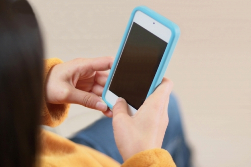 ꡼ No.006 | ڻܰϺ֥ۡ¸ɡ꤫鸫륬㾦ˡκ