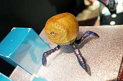 ꡼ No.047 | ϷŸ16bitModels3νŸʤҲ1/12 ϺǤΥϥꥢѥѤʤɸɺʤ򲡤