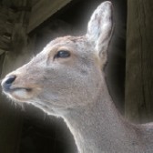 画像ギャラリー No.037のサムネイル画像 / BitSummit Volume 6のステージプログラムと登壇者の情報が公開に