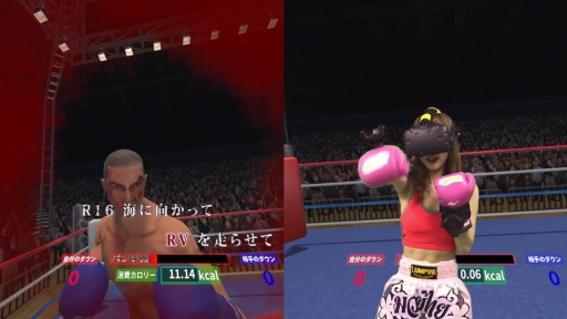 ꡼ No.005Υͥ / VRܥ󥰥饪ХפJOYSOUNDŹо