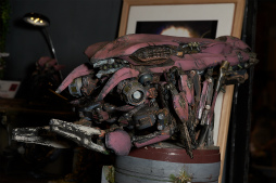 ���������꡼ No.236�Υ���ͥ������ / �������ե����ƥ��Х�2018�βơϤ����š�������Ϥ��濴�ˤ��Ĥġ����ȼ�̣�����ä��ե��ȥ�ݡ��Ȥ�Ǻ�