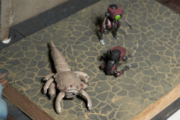 ���������꡼ No.244�Υ���ͥ������ / �������ե����ƥ��Х�2018�βơϤ����š�������Ϥ��濴�ˤ��Ĥġ����ȼ�̣�����ä��ե��ȥ�ݡ��Ȥ�Ǻ�