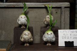 ���������꡼ No.245�Υ���ͥ������ / �������ե����ƥ��Х�2018�βơϤ����š�������Ϥ��濴�ˤ��Ĥġ����ȼ�̣�����ä��ե��ȥ�ݡ��Ȥ�Ǻ�