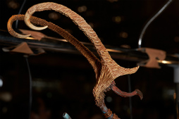 ���������꡼ No.282�Υ���ͥ������ / �������ե����ƥ��Х�2018�βơϤ����š�������Ϥ��濴�ˤ��Ĥġ����ȼ�̣�����ä��ե��ȥ�ݡ��Ȥ�Ǻ�