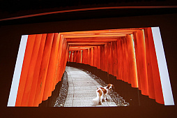 ꡼ No.006Υͥ / CEDEC 2018ϵ лδĴֱ֤ɤФ10ǯİ֥ݡȡܻ᤬ʬȤܤΥԾ10ǯ֤ä