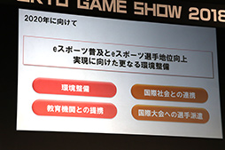 ꡼ No.019Υͥ / TGS 2018eݡĤȯŸ˸ƶȳȤ٤Ȥϡѥͥǥåǵ蘆줿Ĵֱݡ