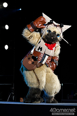 ꡼ No.216 | TGS 2018ϡCosplay Collection NightץեȥݡȡफȴФƤΤ褦ʥץ쥤䡼αѤå