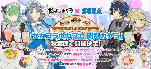 ꡼ No.013Υͥ / TV˥𥫥 SHINOVI MASTER --פš㥹ȤڸϺ᤬˥2θɤפä