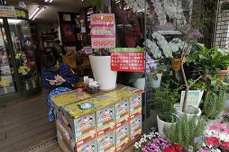 画像ギャラリー No.011のサムネイル画像 / タカラトミーのお膝元・青戸がまるごと「人生ゲーム」に! 「第1回まちあそび人生ゲームIN葛飾」レポート