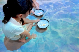 画像ギャラリー No.003のサムネイル画像 / 屋内キッズプレイグラウンド「あそびパーク PLUS マークイズ福岡ももち店」が11月21日にオープン