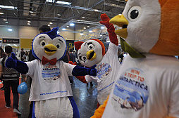 ꡼ No.036 | SPIEL18ʥ⤢ޤסɤڤ̵ǰޤο򡤼̿Ǥ⤴Ҳ