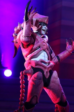 ���������꡼ No.016�Υ���ͥ������ / �쾮�Ĥ����襤�����ƤĤ餤�������ٱ��ݤ�ʬ��Ǥ���������֤Ϥ��餯��˦�ץ��ͥץ�������ݡ���