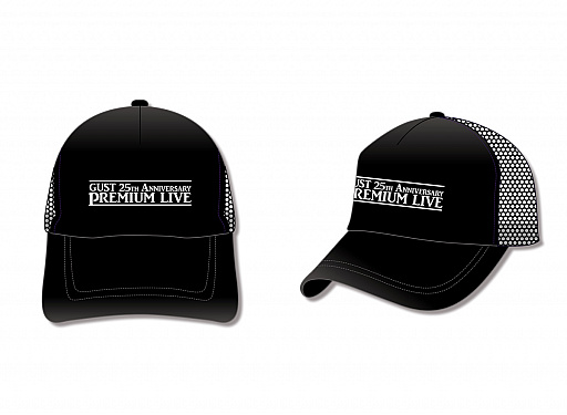 ꡼ No.022 | ȡ25ǯǰץߥ饤֡פȡ֥ߥ95פ䤷ʤΰ򥬥ȥåפ䳫