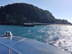 画像ギャラリー No.002のサムネイル画像 / 本物の無人島で行うリアル謎解きゲーム「無人島からの脱出」が3月23日と24日に再演決定