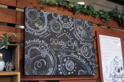 ꡼ No.004 | ޥΡ֥ӥեפ⿷˥˥塼륪ץ󡪡ҡȤä˥塼