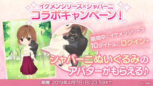 ꡼ No.003 | ֥󥷥꡼ס֥СˡפΥХ館륭ڡ»