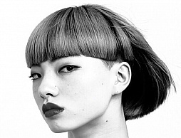 ���������꡼ No.034�Υ���ͥ������ / KAGOME�ο��ץ��������ȡ�GO��ME�פ����̥ࡼ�ӡ���e���ݡ������꤬�б�