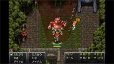 ꡼ No.230 | ʿˤޤȤᡣ30ǯ֤ǯɽȥǿ֤