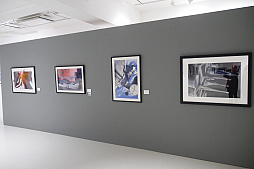 ꡼ No.007Υͥ / ֥ɡߡŸ PROGRESSIONS TYO 2019ݡȡ̤Ūʵǽʪˤդ줿ʤοϺƤ⿷