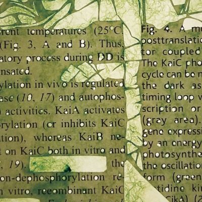 画像ギャラリー No.003のサムネイル画像 / 「第22回文化庁メディア芸術祭受賞作品展」が6月1日より東京・お台場で開催