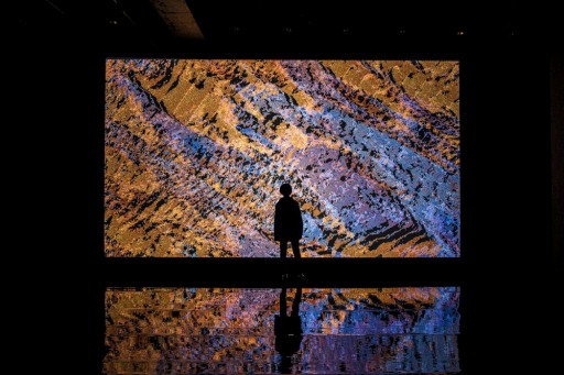 画像ギャラリー No.005のサムネイル画像 / 「第22回文化庁メディア芸術祭受賞作品展」が6月1日より東京・お台場で開催