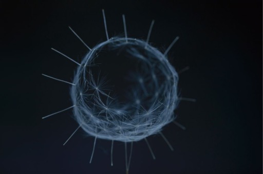 画像ギャラリー No.010のサムネイル画像 / 「第22回文化庁メディア芸術祭受賞作品展」が6月1日より東京・お台場で開催