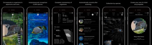 画像ギャラリー No.014のサムネイル画像 / 「第22回文化庁メディア芸術祭受賞作品展」が6月1日より東京・お台場で開催