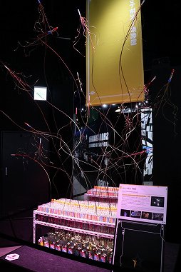 ꡼ No.010 | 䥢˥ΥᥫǥʡϿ᤬κŸ⤷ֲϿ EXPOפΥǥݡ