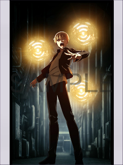 ���������꡼ No.005�Υ���ͥ������ / ����ǡ�Fate HF�������BD��DVD��ˡ����ŵ����Ҳ�