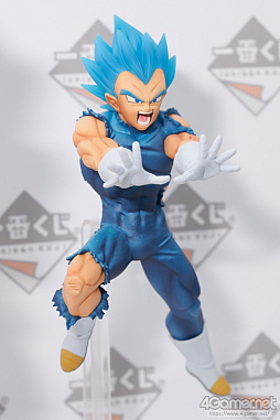 ꡼ No.079 | ե2019[]եȥݡȡϥե奢̽Ÿå饫磻ޤḁ̇̄Ϥ¤ʪˤ